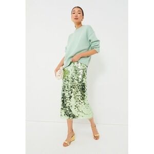 Tuckernuck Sequin Mint Chip Remmi Midi Skirt 
*note missing sequins